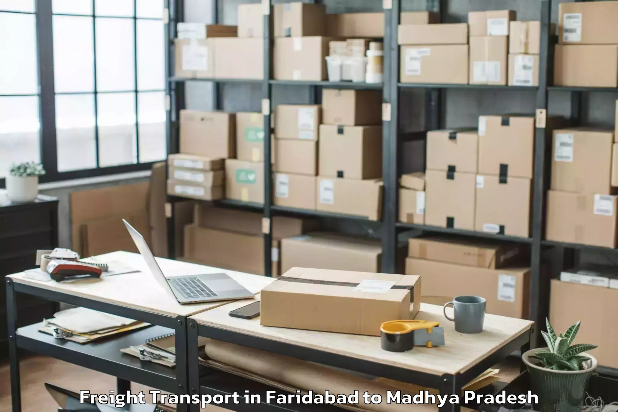 Professional Faridabad to Majhauli Freight Transport